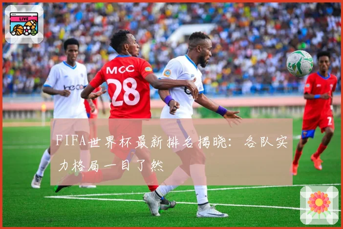 FIFA世界杯最新排名揭晓：各队实力格局一目了然