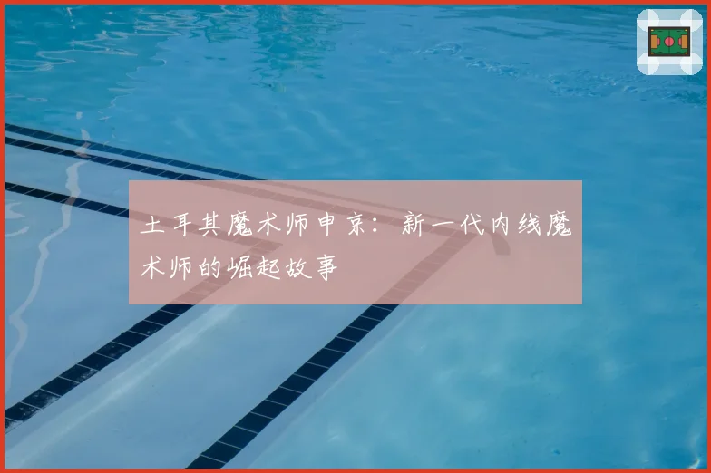 土耳其魔术师申京：新一代内线魔术师的崛起故事