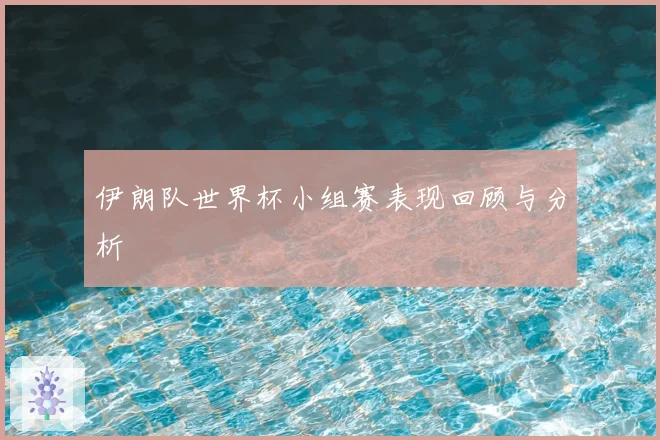 伊朗队世界杯小组赛表现回顾与分析