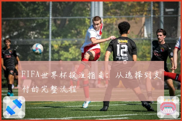 FIFA世界杯投注指南:从选择到支付的完整流程