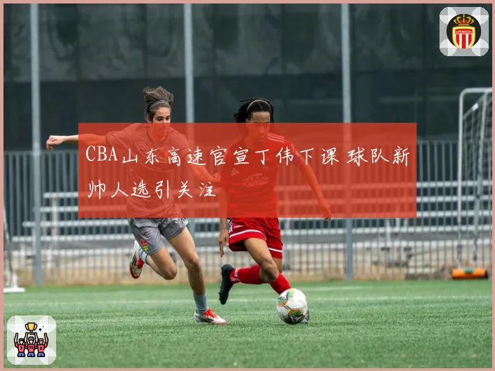 CBA山东高速官宣丁伟下课 球队新帅人选引关注